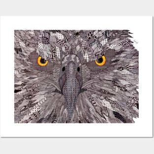 Eagle Eyes Posters and Art